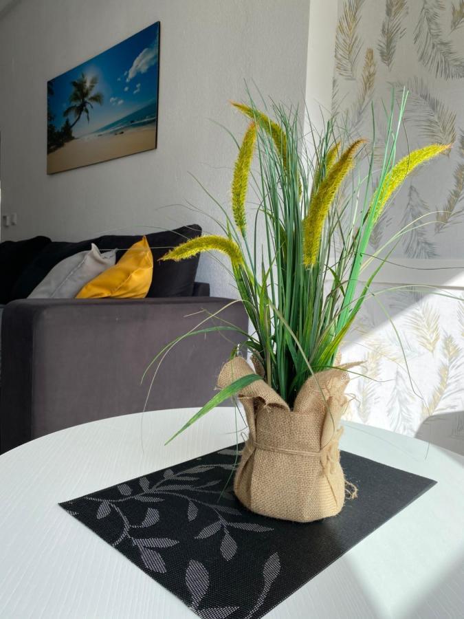 Sunshine Apartment Torrevieja Eksteriør billede