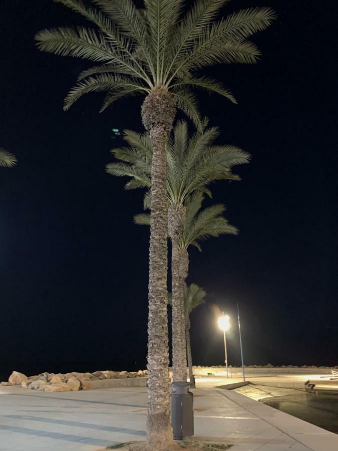 Sunshine Apartment Torrevieja Eksteriør billede